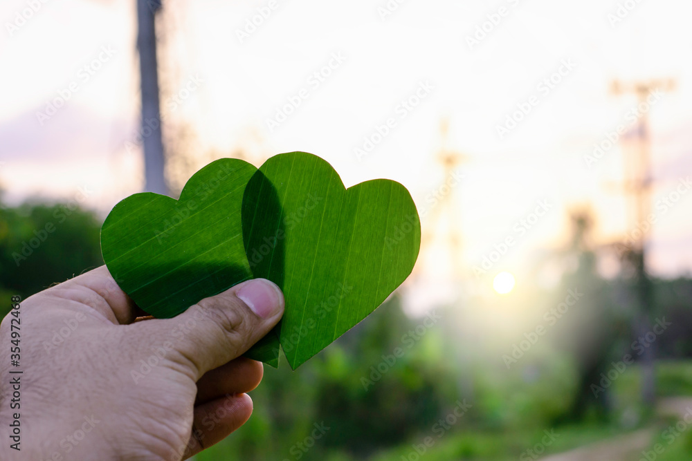 Green leaf of tree like heart shape with blur electricity pole background concept Green leaf of tree like heart shape with blur electricity pole background concept