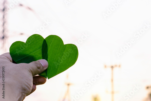 Green leaf of tree like heart shape with blur electricity pole background concept © Nuttapon