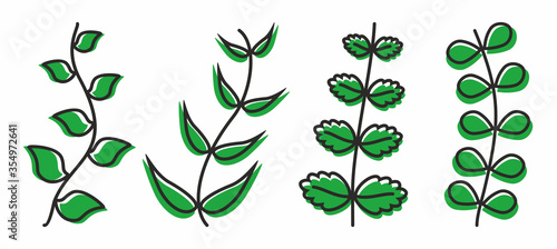 Set of branches with leaves of different shapes. Vector illustration in black and green