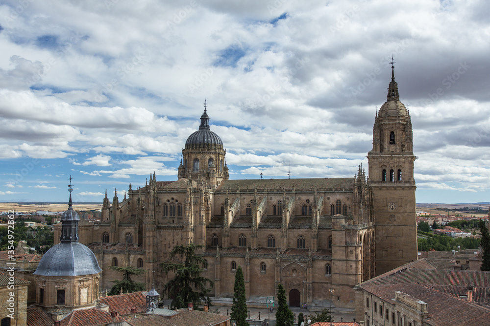 Panoramic aerial new Cathedral of Salamanca, Castilla, Spain