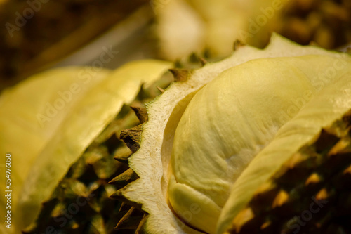 Durian the King of fruits Thailand. Durian tropical fruit. Durian yellow meat. Spiky shell and the smell of the unique 