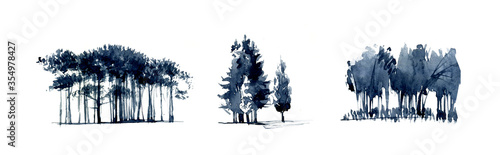 Group of trees silouette realistic illustration isolated on white.Set of realistic trees illustration isolated on white photo