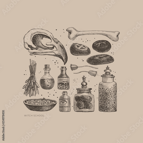Monochrome set of mystical items for witchcraft vector illustration. Elements of witch or wizard set: skull of bird, banks and bubbles with potion, bone, herbs, magic stones. Wicca, pagan traditions.