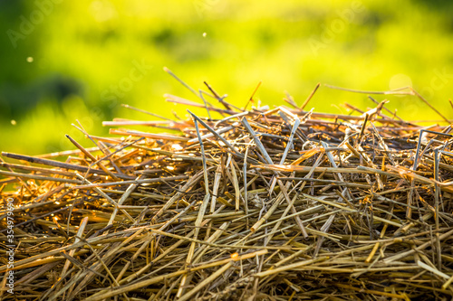 Pile of straw close up on a bright green background