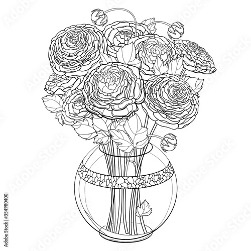 Bouquet with outline Ranunculus or Buttercup flower  bud and leaf in round vase in black isolated on white background. 