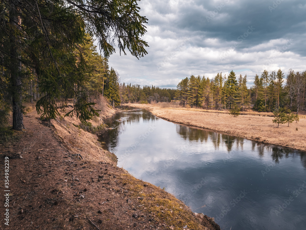 Pine forest on the river bank. Beginning of spring in the middle belt of Russia. Cloudy weather