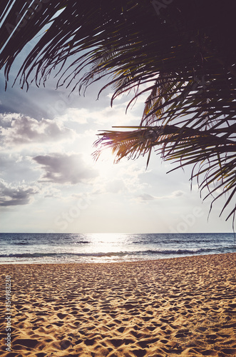 Tropical beach with palm tree leaves at sunset, color toning applied.