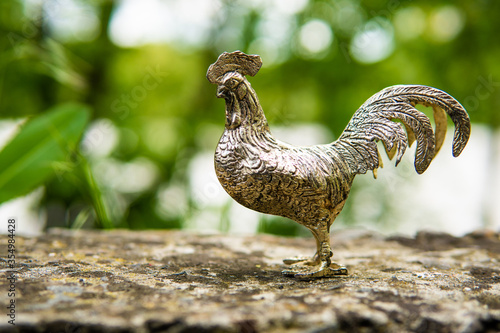 rooster in the grass