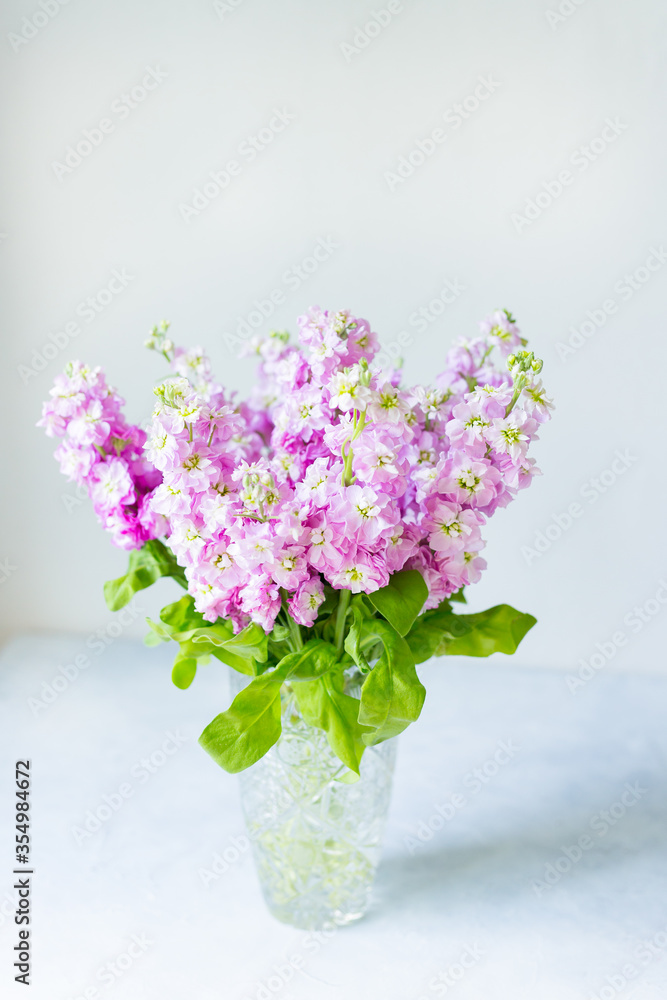 Obraz premium Bouquet of Beautiful lilac mattiola in crystal vase on table. Spring flowers. 