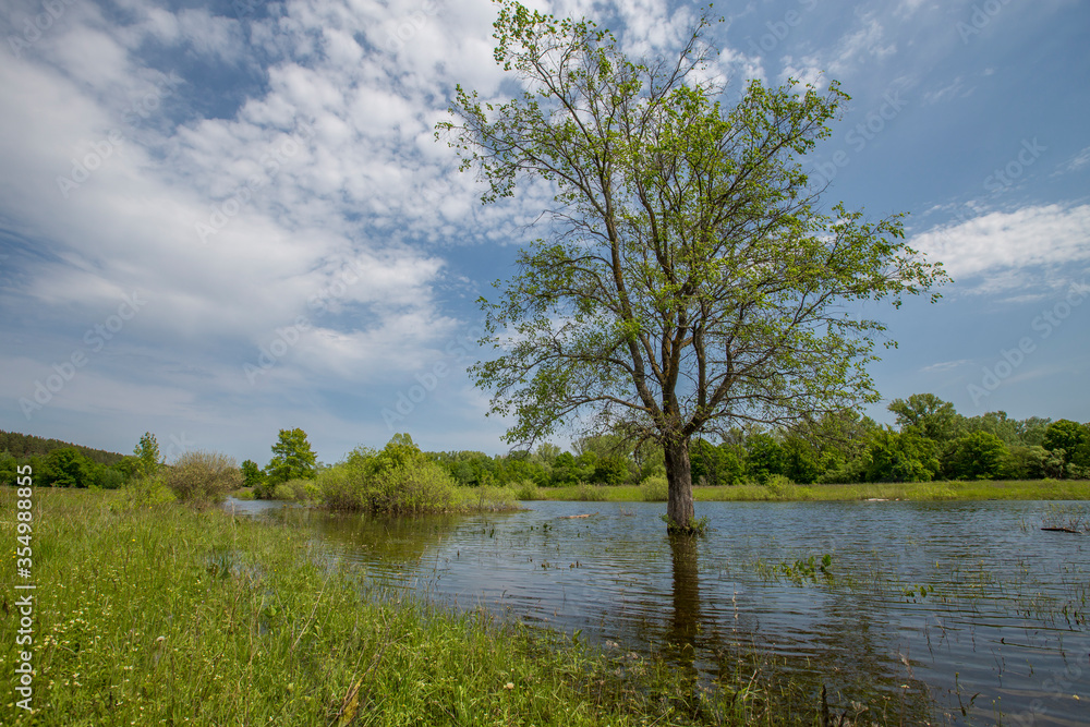 spring flood, overflowed lake, flood meadows spring flood, overflowed lake, flood meadows
