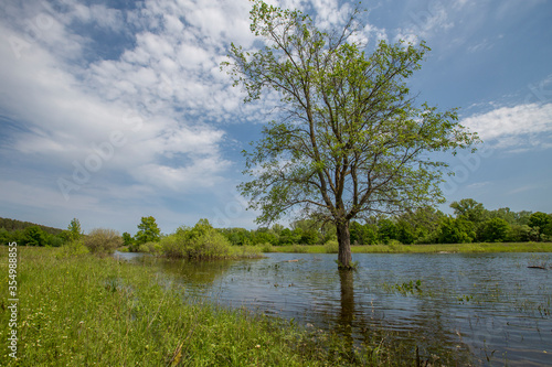 spring flood, overflowed lake, flood meadows © Андрей Пугачев