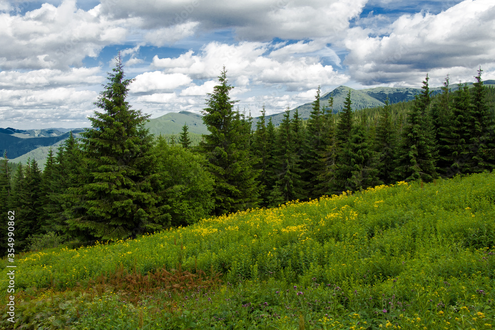 Goverla summer view, Carpathian mountains climbing, Ukraine Goverla summer view, Carpathian mountains climbing, Ukraine
