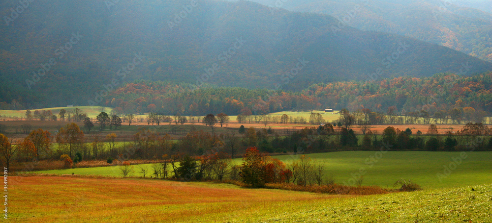 Fototapeta premium Autumn Meadow