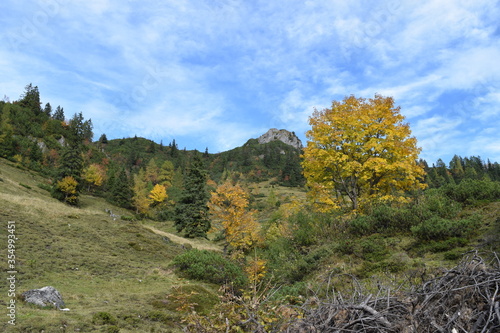 Fototapeta Naklejka Na Ścianę i Meble -  Mountain landscape on the Jenner with colorful autumn trees Schönau am Königsee, Germany