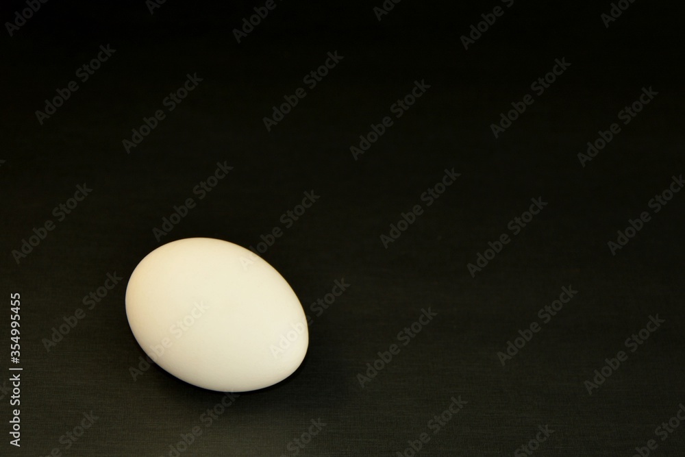 One white egg on black background close-up One white egg on black background close-up