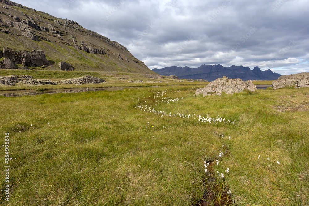 View of a typical and beautiful landscape and untouched nature in East Iceland.