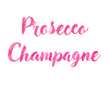 Lettering prosecco champagne. Typography watercolor hand-drawn text, vector modern pink illustration for menu or campaign.