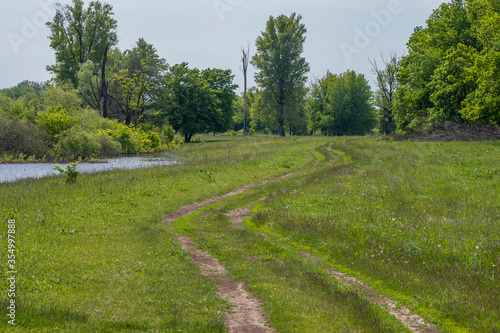 winding road in the spring meadow