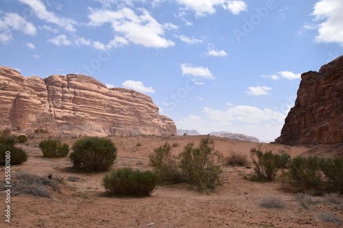 Huge canyon with vegetation on sandy soil in the Wadi Rum Desert  Wadi Rum Desert  Jordan  Natur  Parks im Freien 