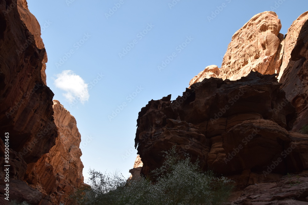 Huge canyon with vegetation on sandy soil in the Wadi Rum Desert, Wadi Rum Desert, Jordan (Natur, Parks/im Freien)