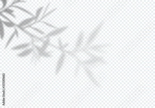 Vector Transparent Shadow of Tree Leaves. Design Element for Presentations and Mockups. Creative Overlay Effect