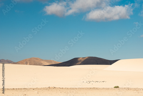 Beautiful minimalistic desert landscape with dunes  volcanos and clouds in Fuerteventura island