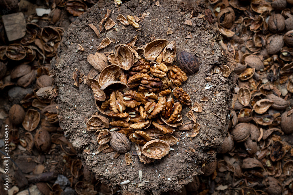 Pile of Crushed walnuts on the wooden stump, autumn nuts top view, horizontal image of food Pile of Crushed walnuts on the wooden stump, autumn nuts top view, horizontal image of food
