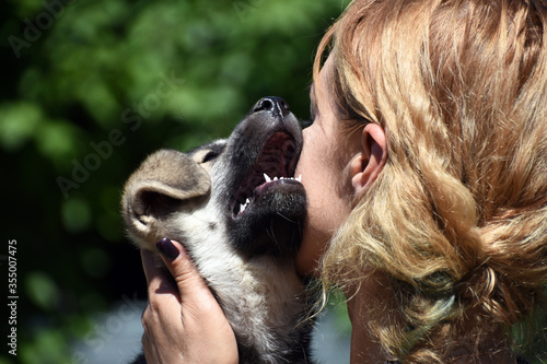 the puppy presses his cheek against the cheek of the mistress. photo