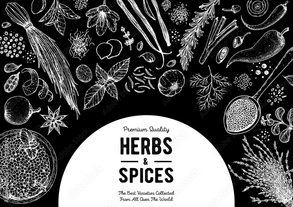 Herbs and spices hand drawn vector illustration. Aromatic plants. Hand