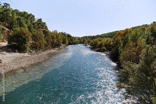 Fototapeta River in the forest
