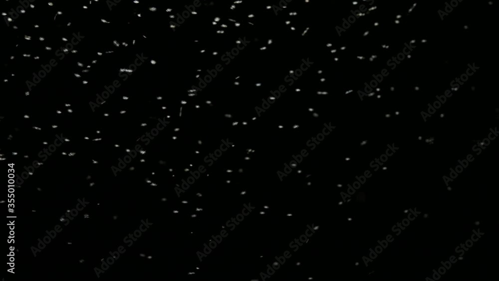 Little insect flying in the neon light. Insect boom concept. Little insect flying in the neon light. Insect boom concept.