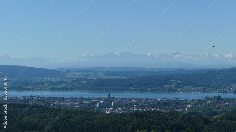 Radolfzell mit Alpenpanorama