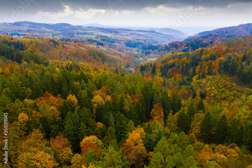 Autumn hilly landscape with colored trees