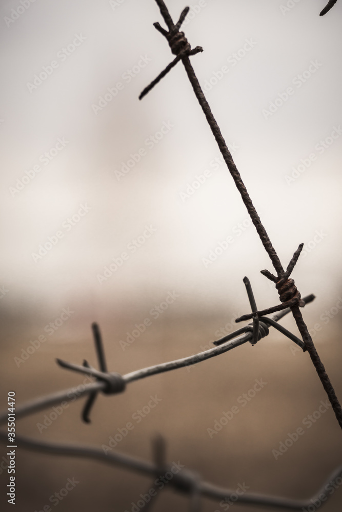 barbed wire on a blurry background in a military unit barbed wire on a blurry background in a military unit