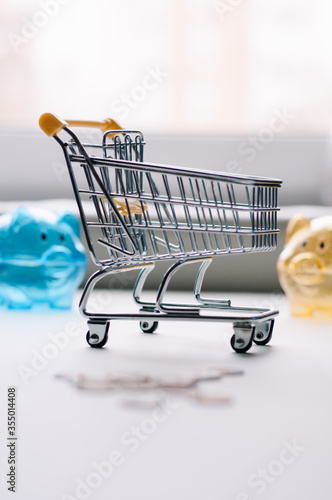 shopping basket, supermarket trolley photo