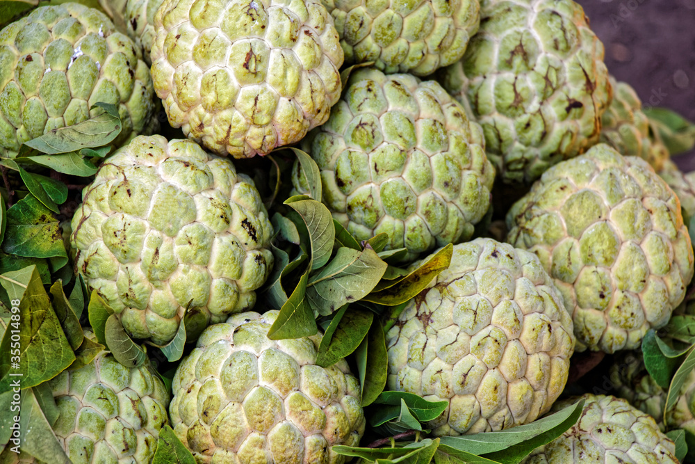 Fototapeta premium custard apple, exotic fruit of Asia