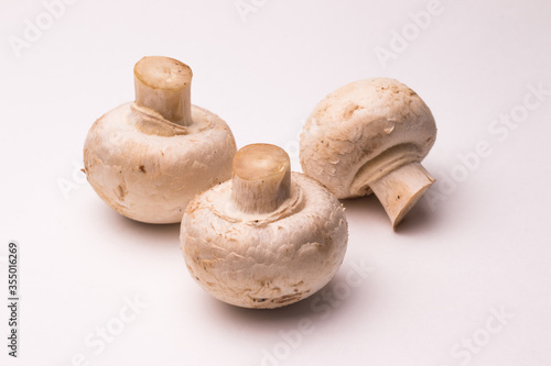 Several natural organic mushrooms champignons