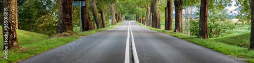 Countryside road with trees on both sides, empty asphalt street panorama