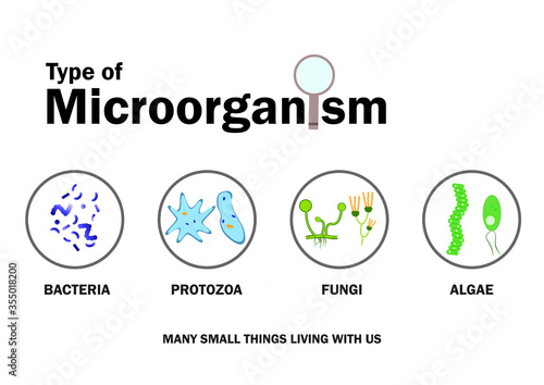 Microbiology diagram present Type of microorganism, Bacteria, fungi (mold), protozoa and micro algae.