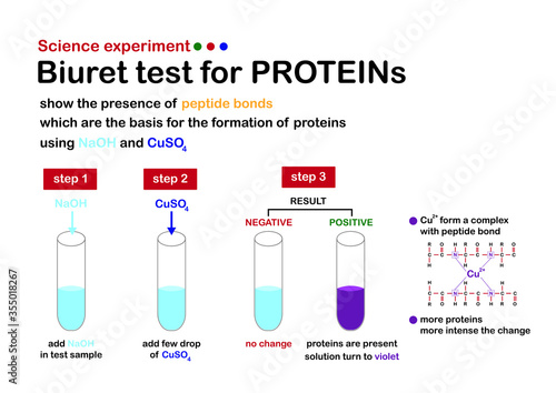 Scientific diagram show biuret experiment for protein testing photo
