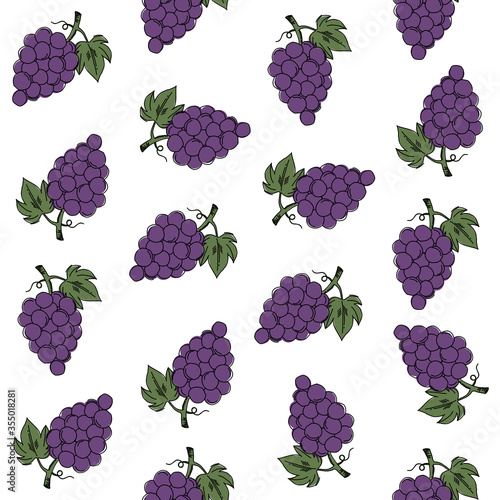  Grapes hand drawn. Seamless vector illustration.