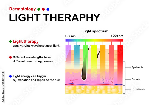 Dermatology infographic show concept of light therapy on skin with different length of light 