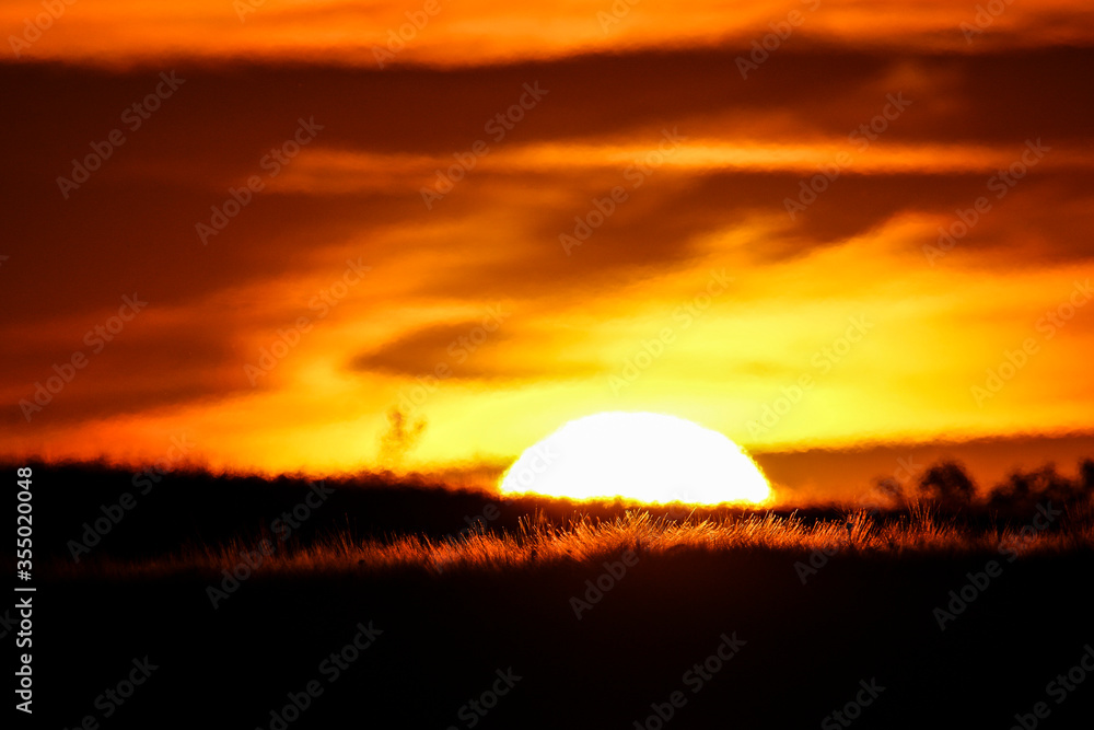 The setting sun bakes a field of wheat or barley in golden colors. The thin clouds are illuminated by the sun in red, orange and gold.