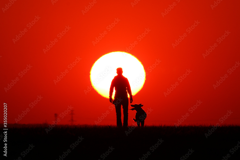 Woman walks with her dog at sunset. Woman walks with her dog at sunset.