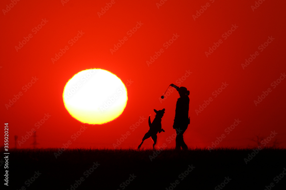 Woman playing with a dog at sunset. The shape of their silhouette is visible. wallpaper
