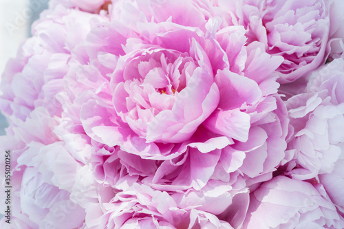 Close up image of delicate pink peony bud in big gentle bouquet. Celebration concept. Greeting card for birthday, valentines day, womans day, anniversary.