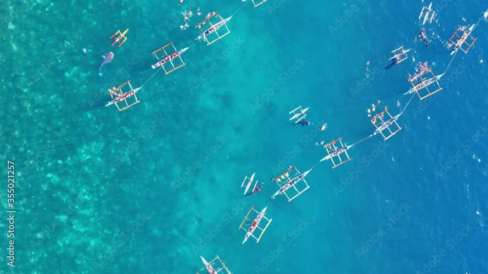 Top down shot of famous Whale Shark watching in beautiful turquoise sea water from Cebu Philippines. Fishermen assisting tourist swimming along the giant fish around the boat Top down shot of famous Whale Shark watching in beautiful turquoise sea water from Cebu Philippines. Fishermen assisting tourist swimming along the giant fish around the boat