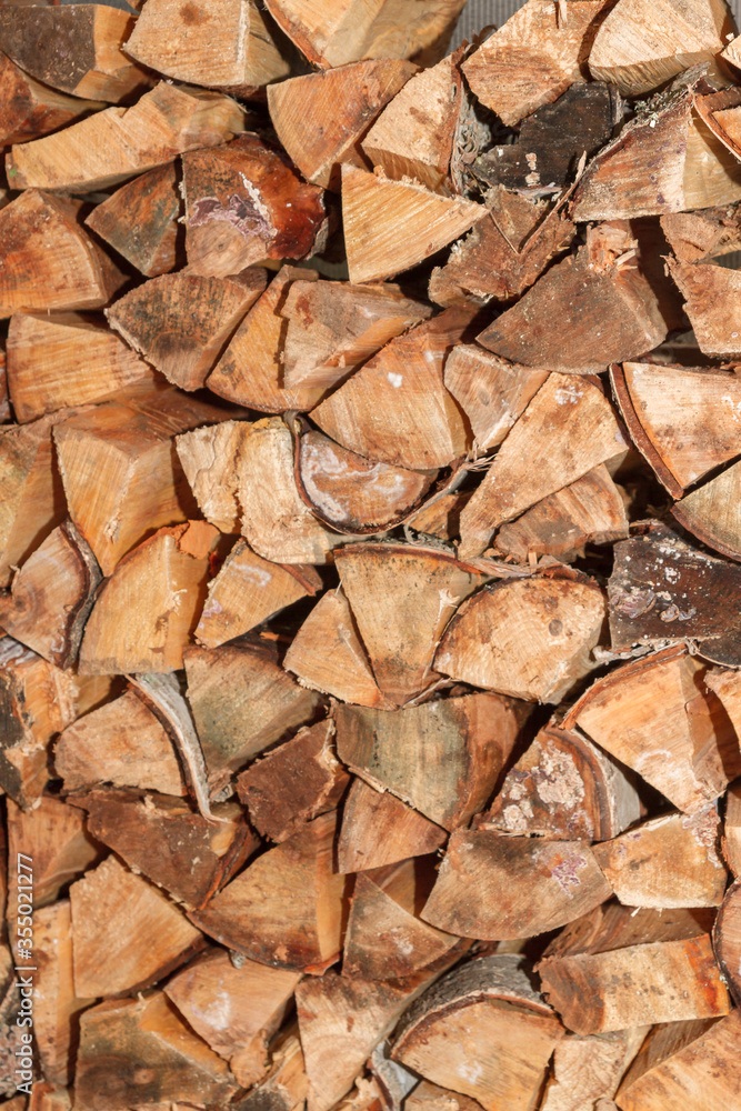 Pinned birch wood are in a pile in drevenice Pinned birch wood are in a pile in drevenice