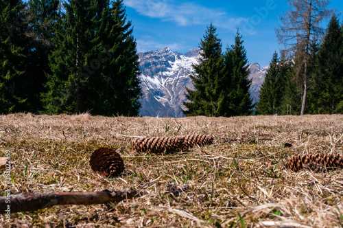 Paesaggio delle montagne Orobiche - Gromo photo