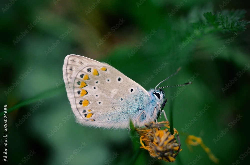 Obraz premium Processed with VSCO with g3 preset